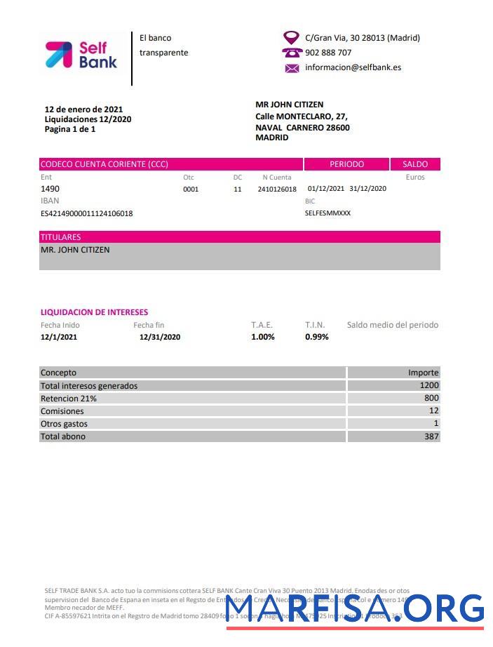 Blank Spain Self bank statement excel example